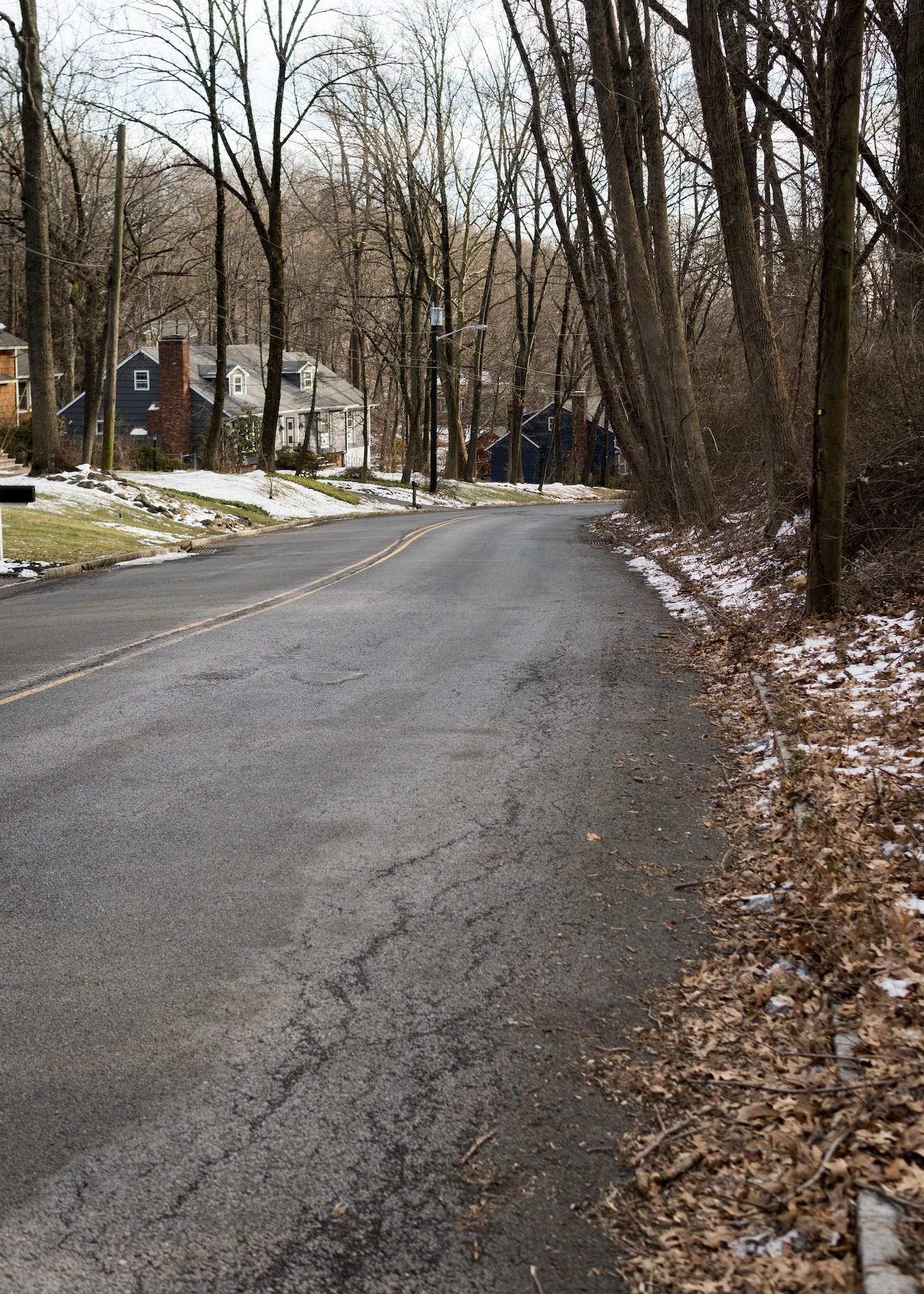 Scotch Plains