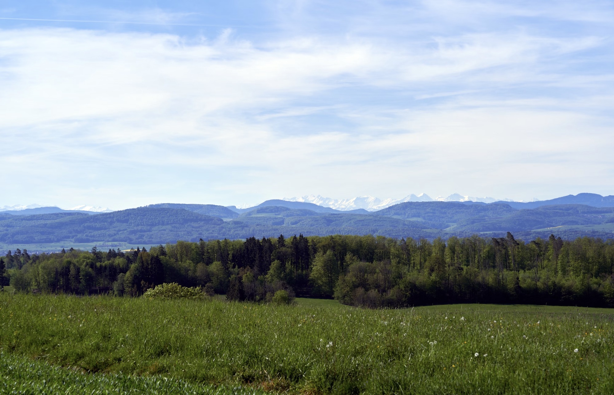 Sutter County