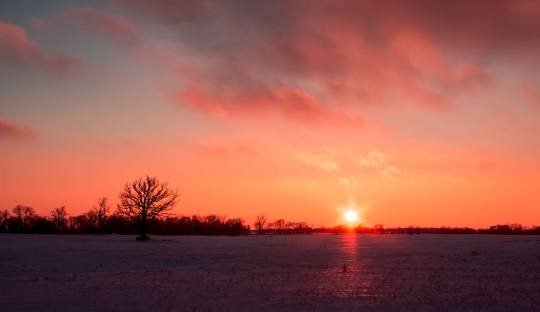Waconia