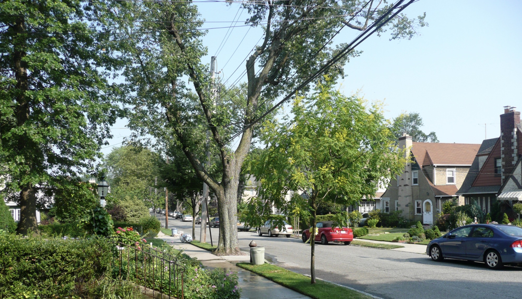 Little Neck