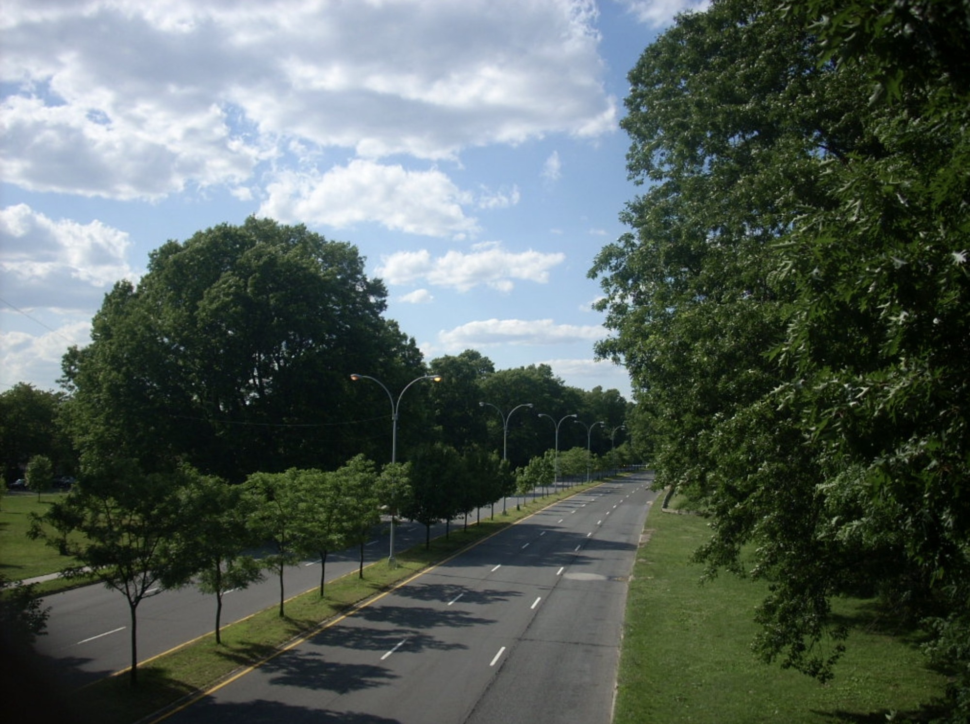 Fresh Meadows