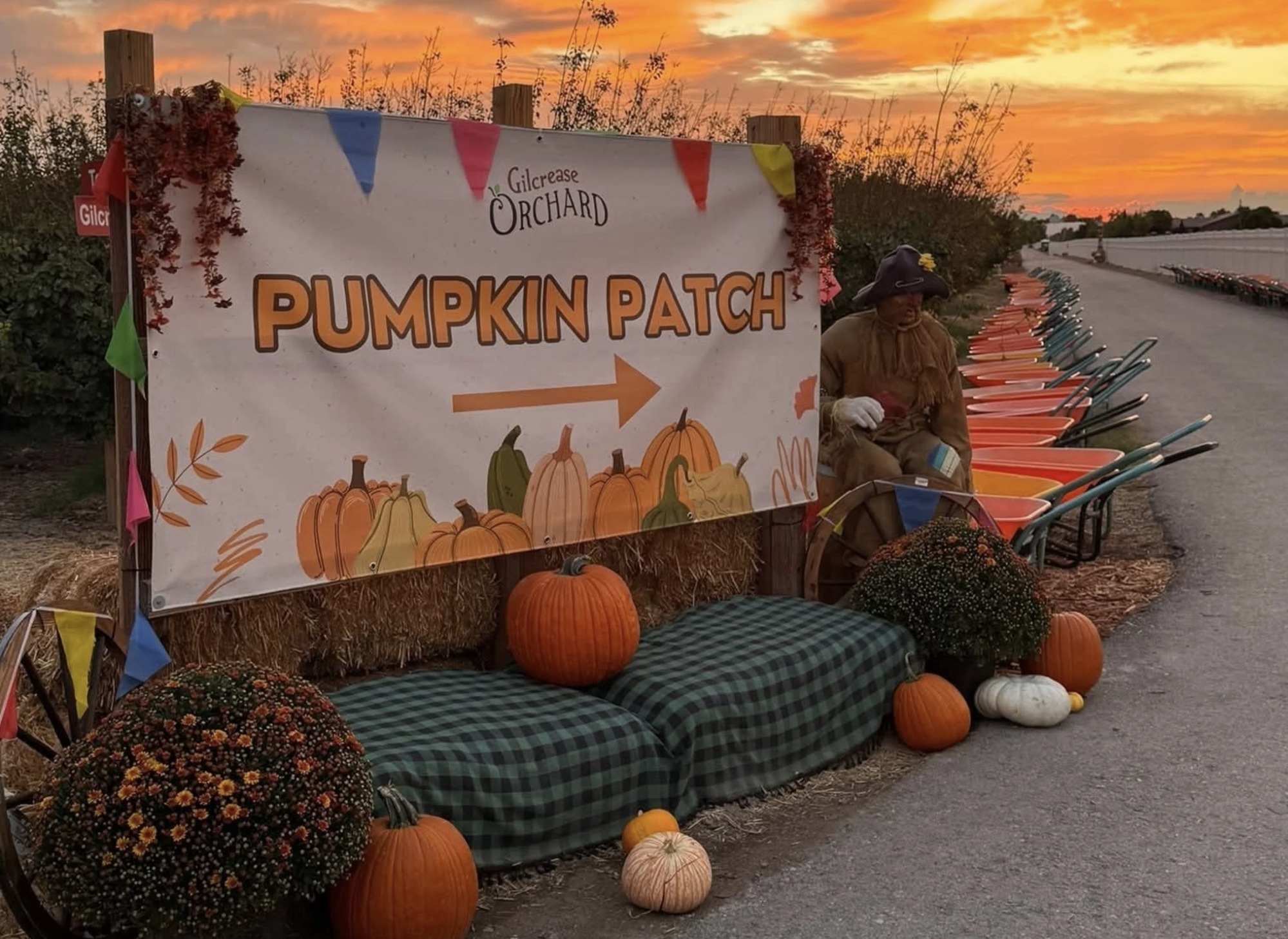Fall Harvest Fun at Gilcrease Orchard