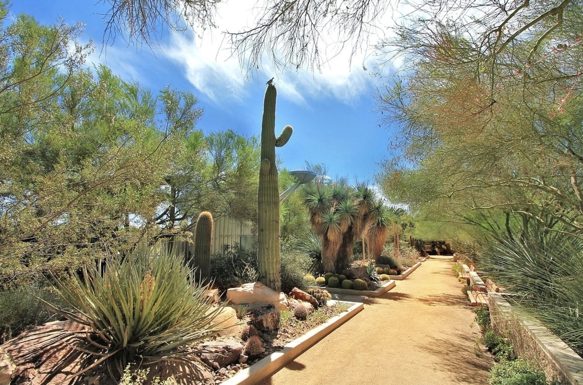 Finding Zen in the Desert: Peaceful Corners of Las Vegas You’ll Love