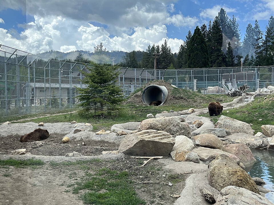 Big Bear, CA