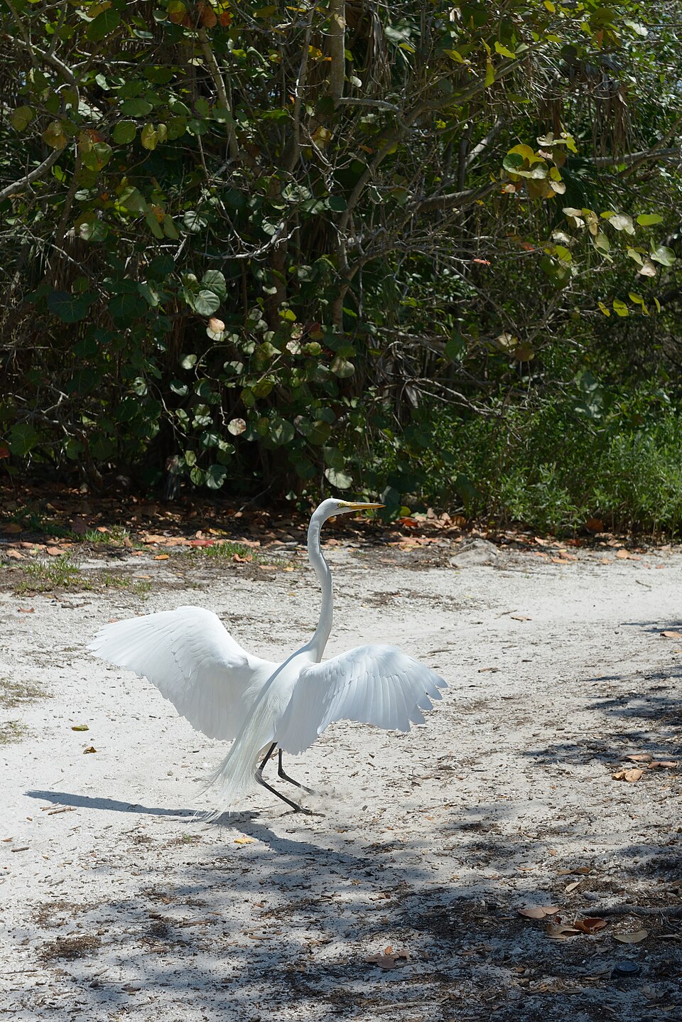 Longboat Key, FL