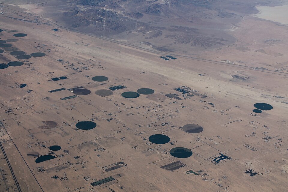 Newberry Springs, CA