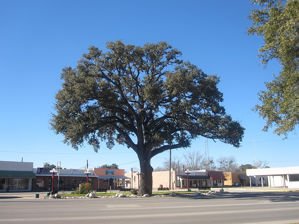 Pleasanton, TX