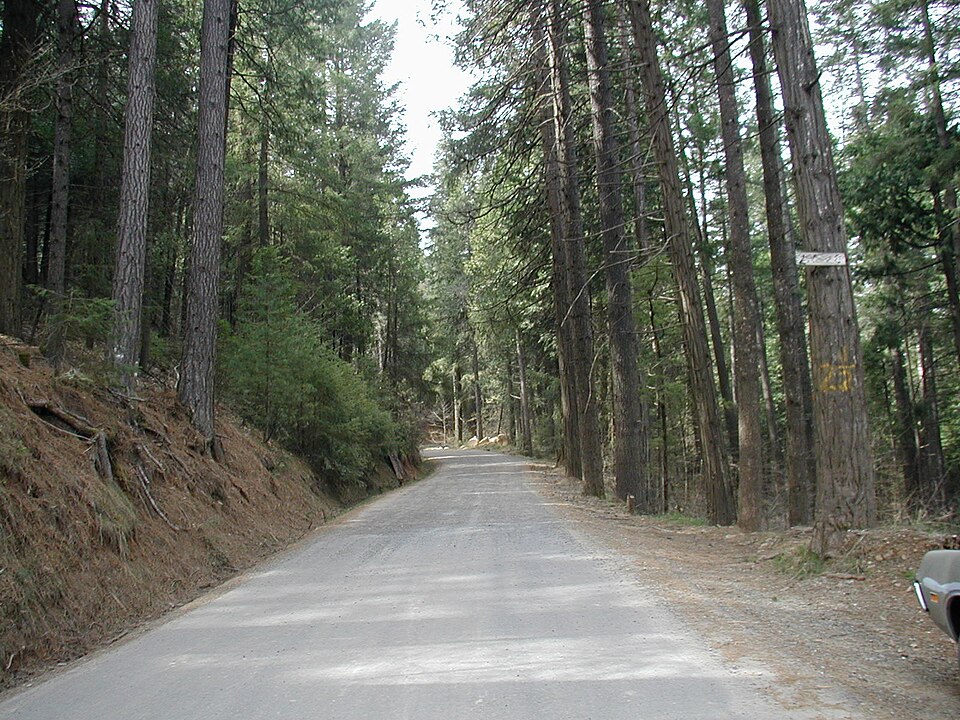 Twain Harte, CA