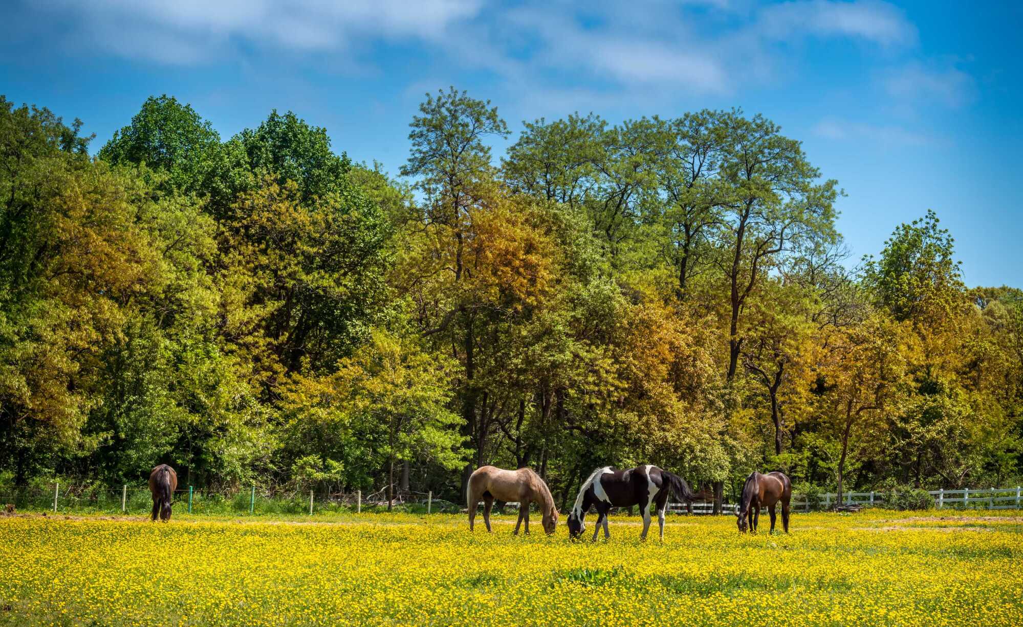 Christian Love | Town & Country REALTORS Photo