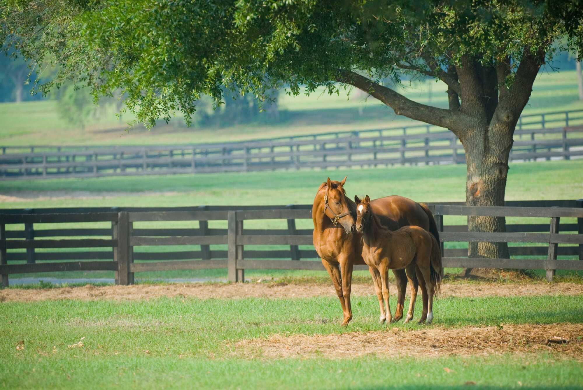 Christian Love | Town & Country REALTORS Photo