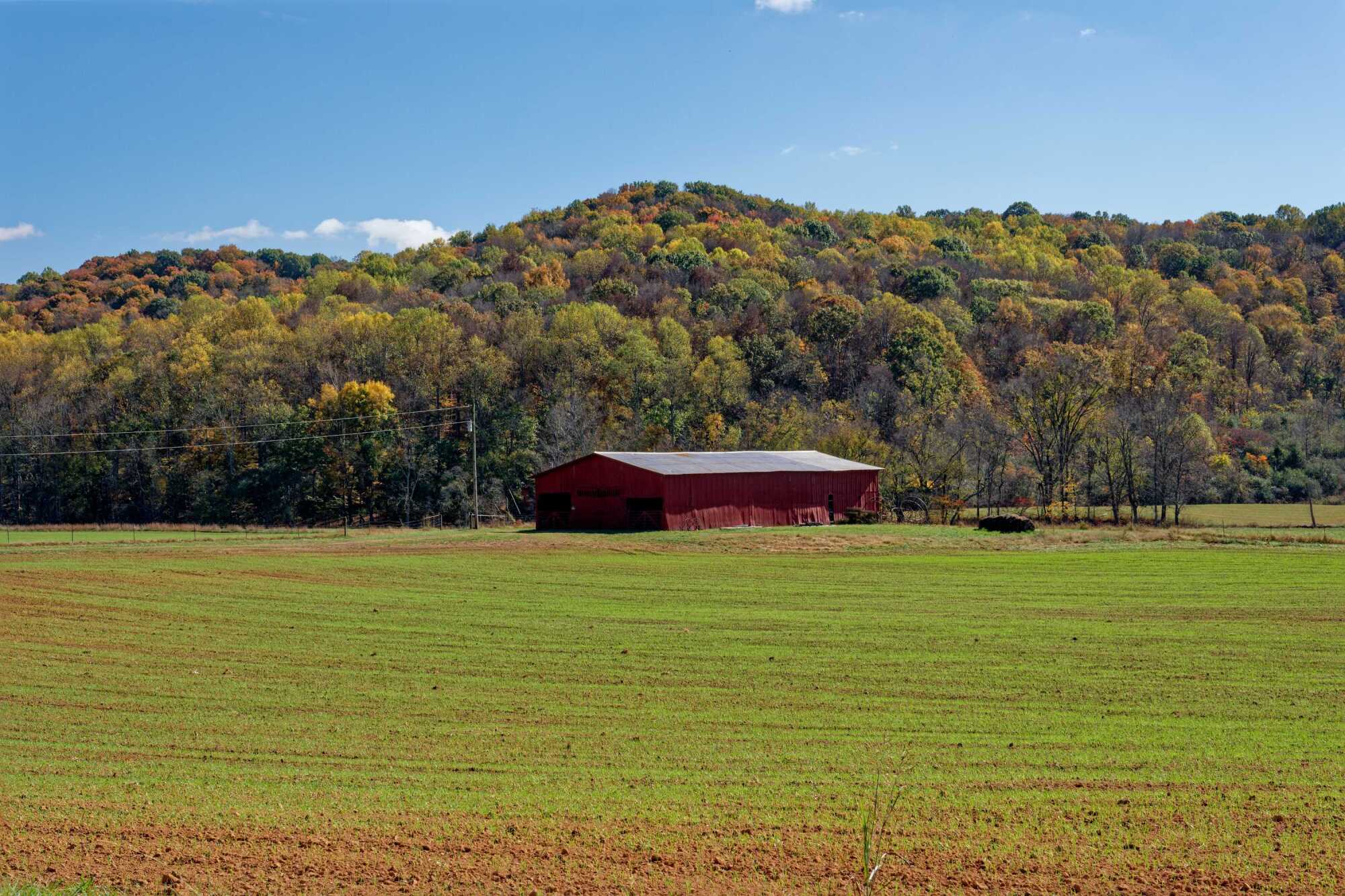 Christian Love | Town & Country REALTORS Photo