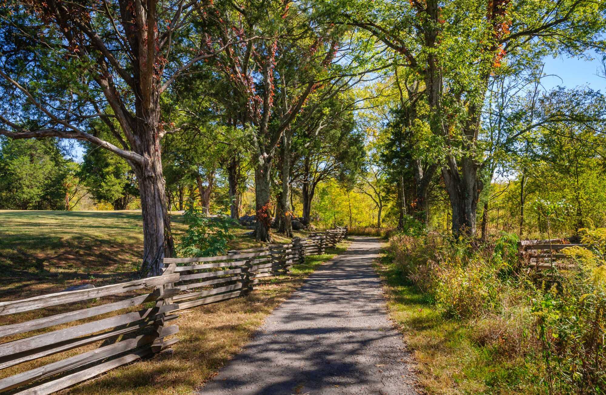 Christian Love | Town & Country REALTORS Photo