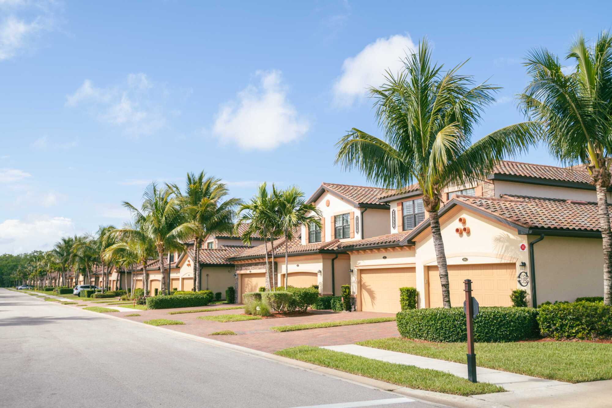 Tabitha High | Century 21 Stein Posner Photo