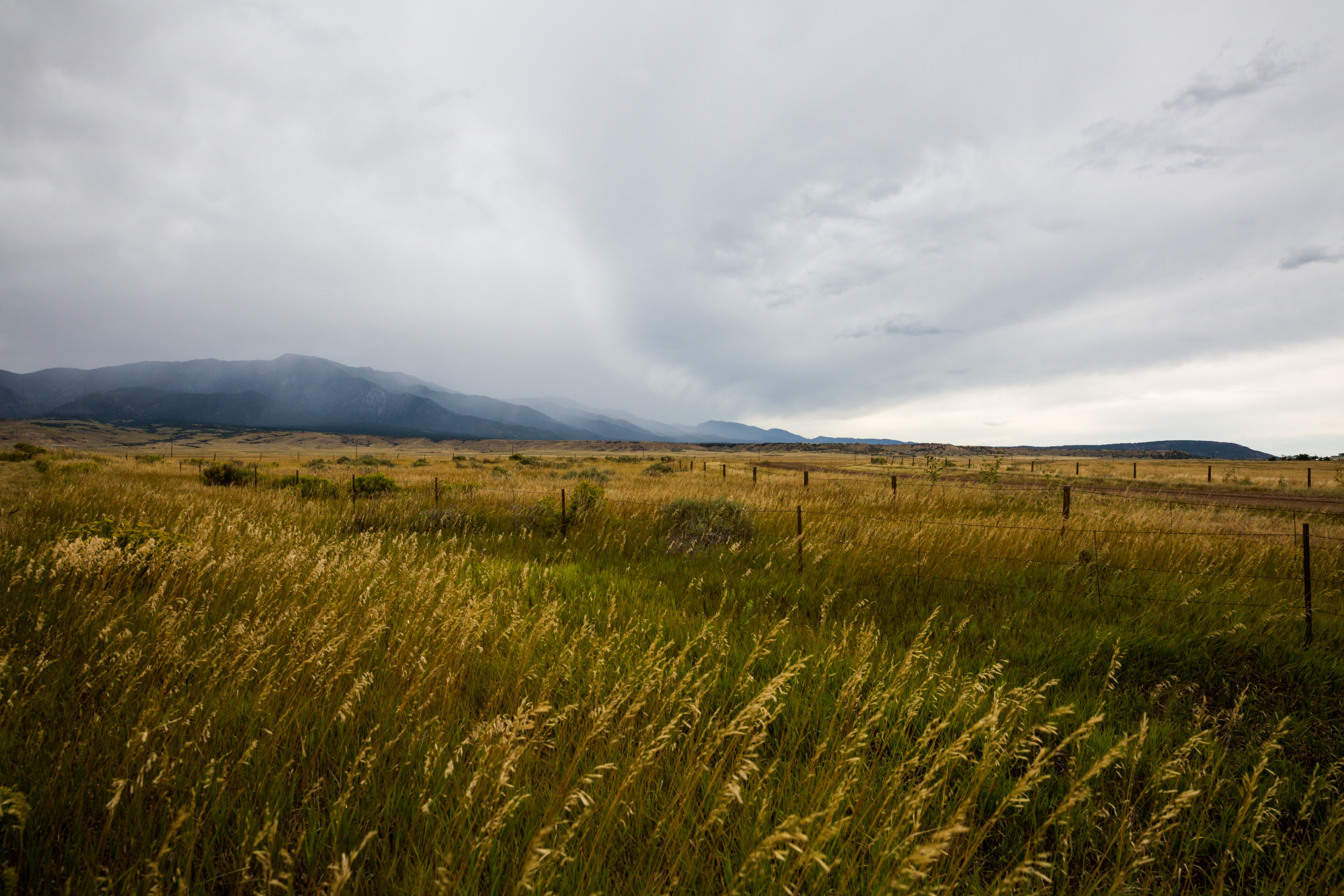 Colorado Realty & Land Co. Photo