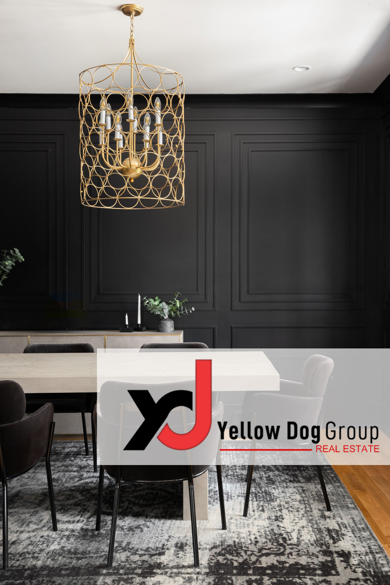Yellow Dog Group Photo