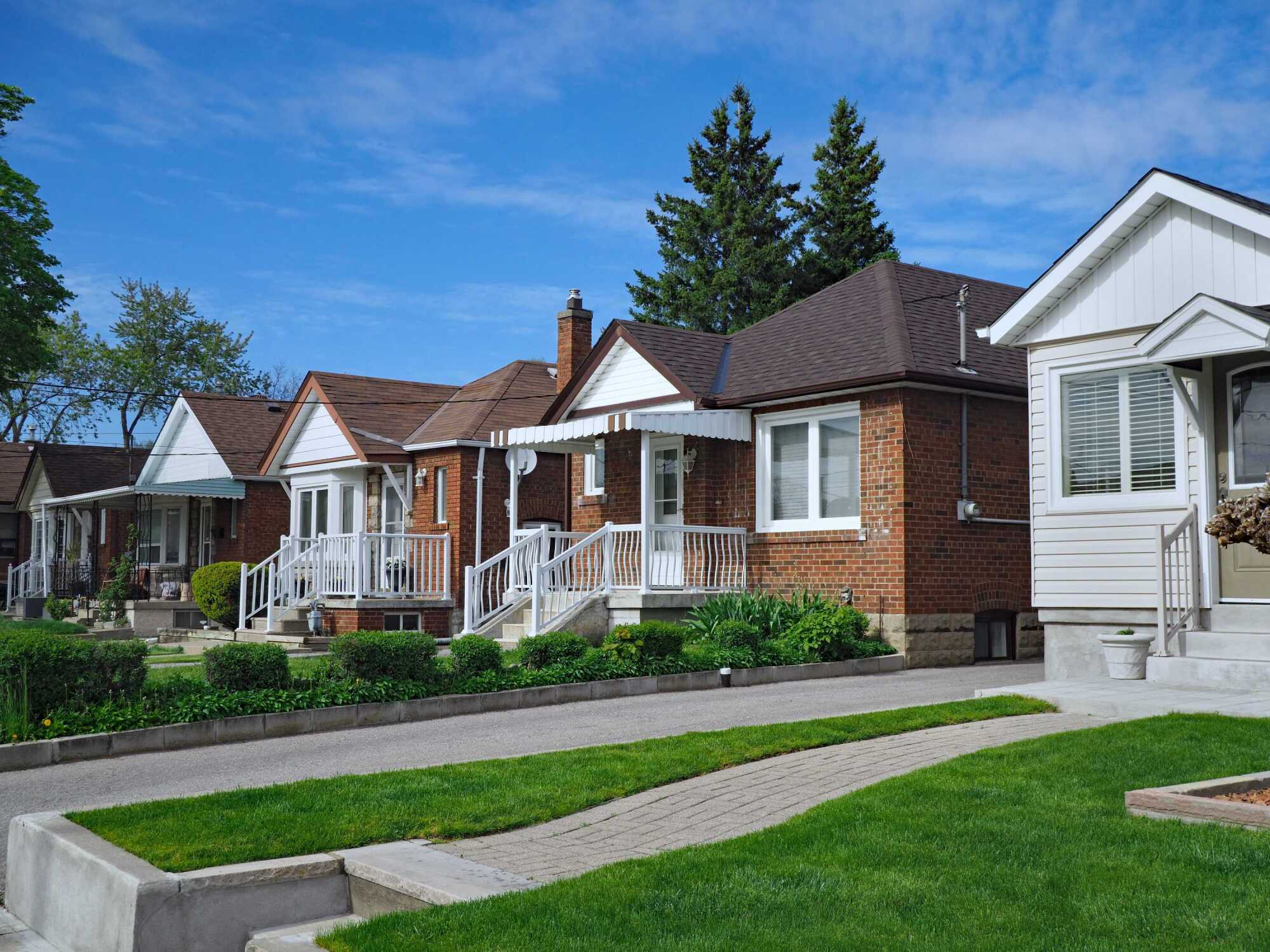 Amir Behdani | Behdani Realty Company Photo