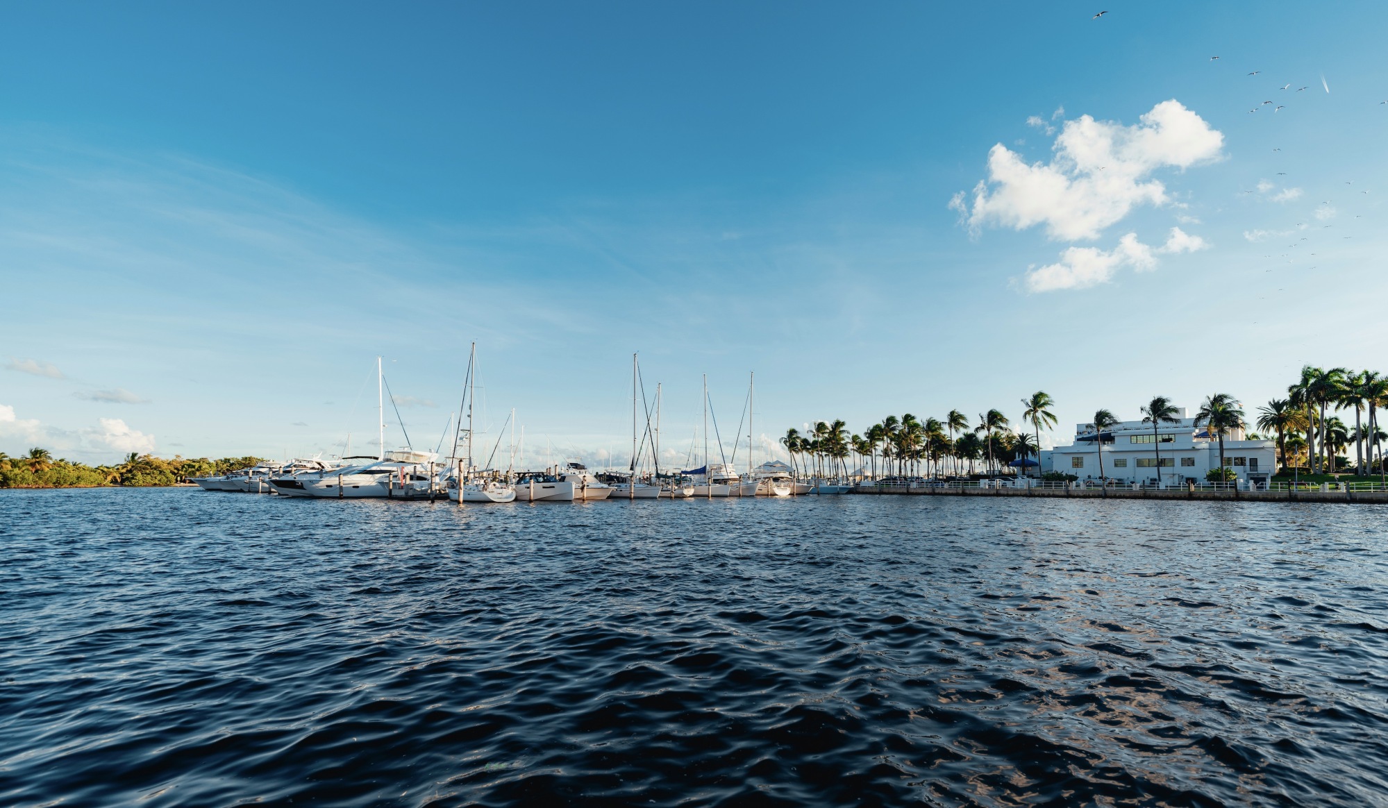 Kelby Contreras | Florida Selling Homes Photo