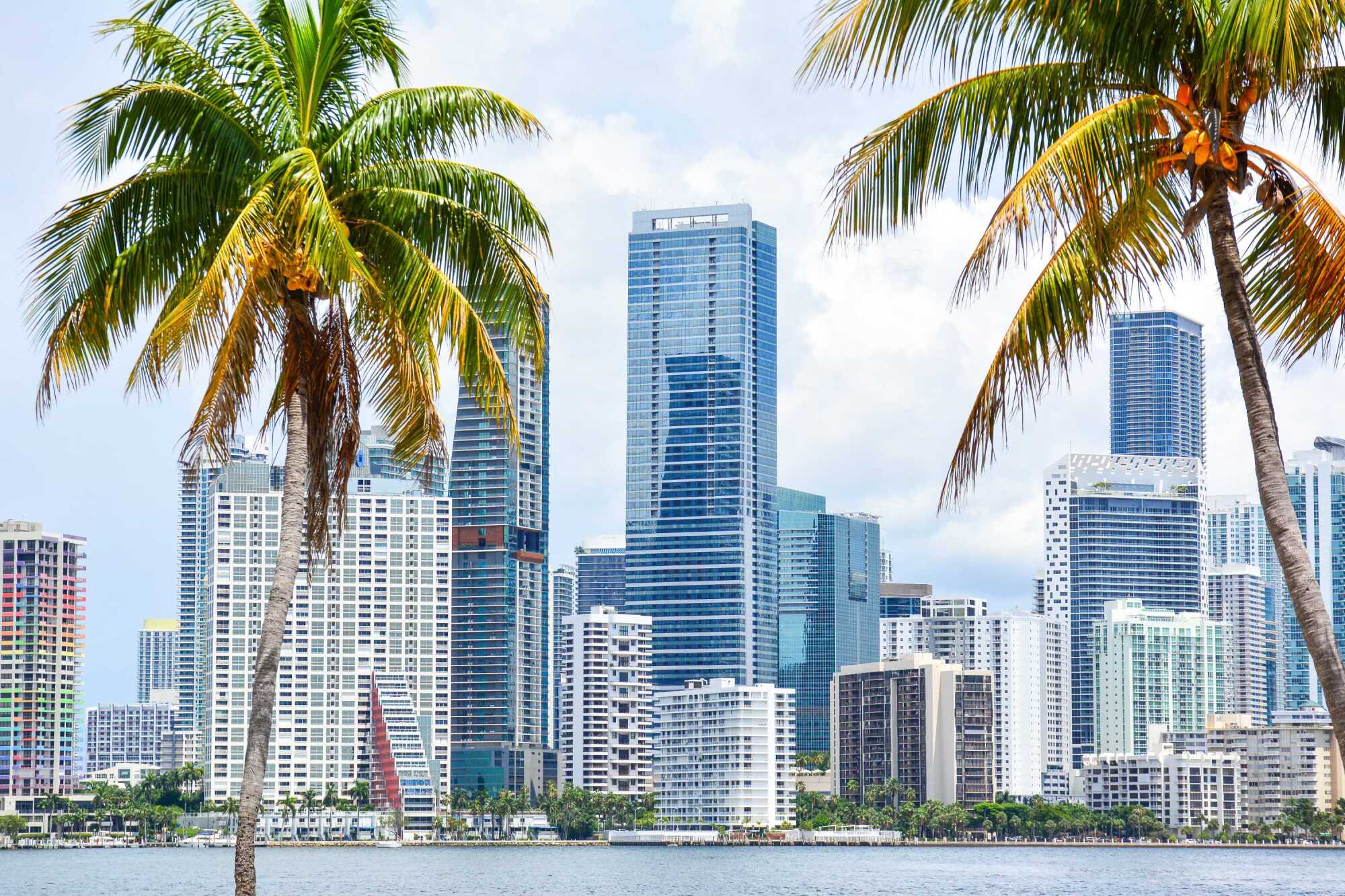 Kelby Contreras | Florida Selling Homes Photo