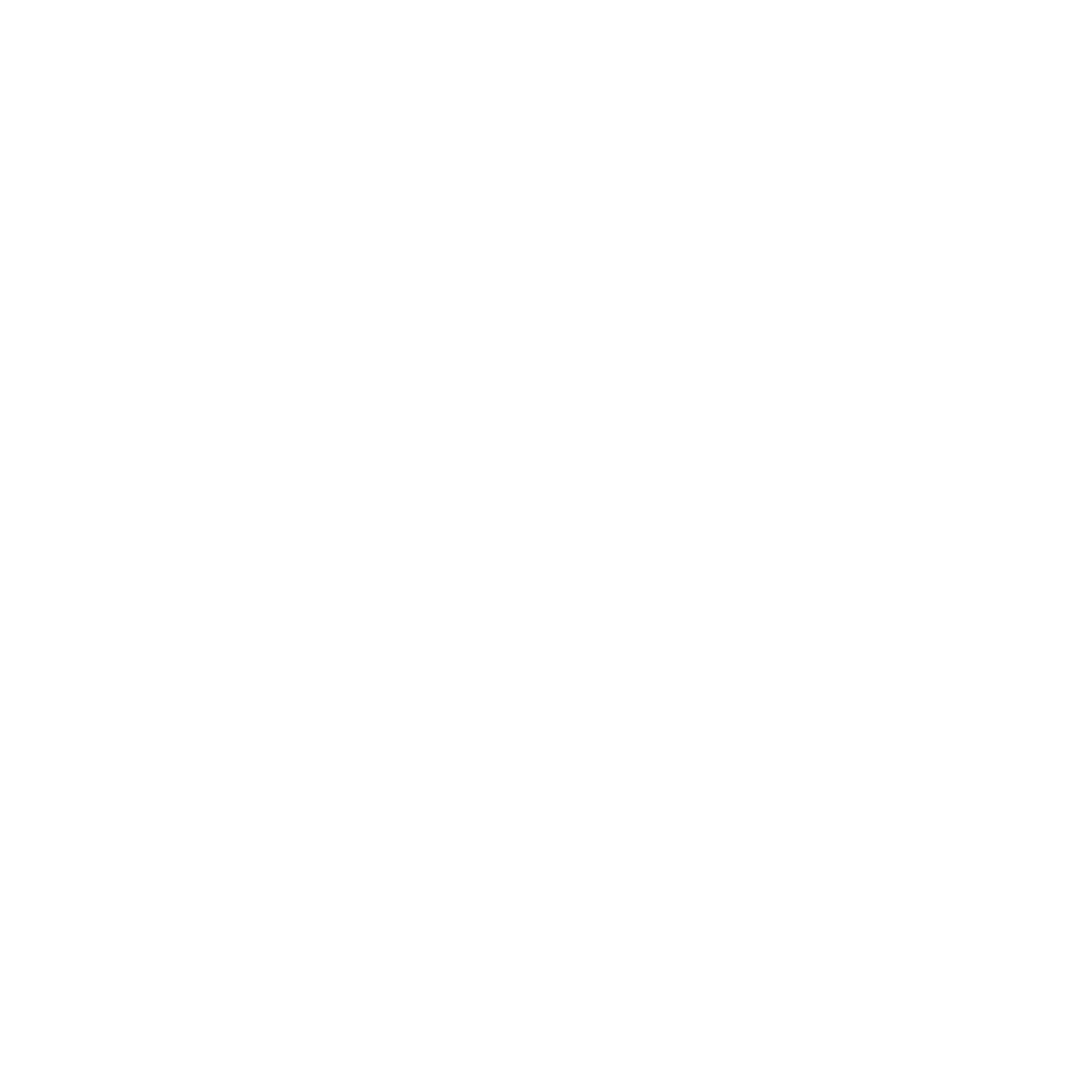 Anita Salas | Keller Williams Performance Realty