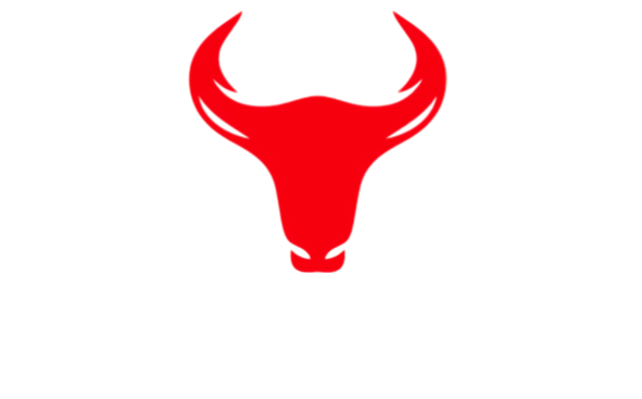 Buller Realty LLC - Footer Logo