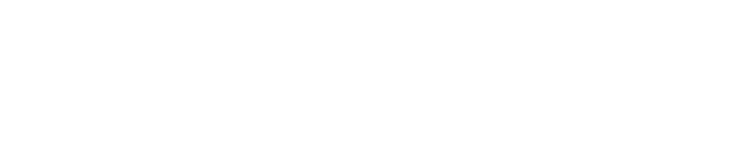 Liz Jones Group - Footer Logo